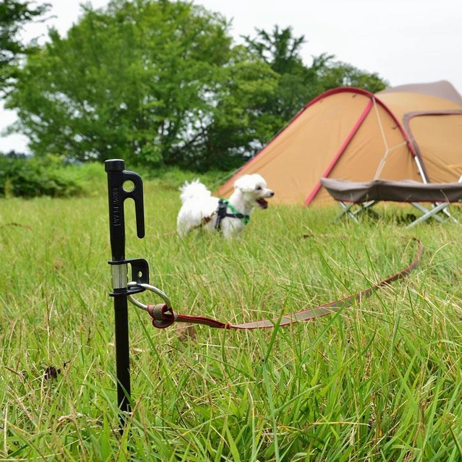 Dog Lead Anchor 50