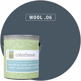 Paint by Colorhouse WOOL .06
