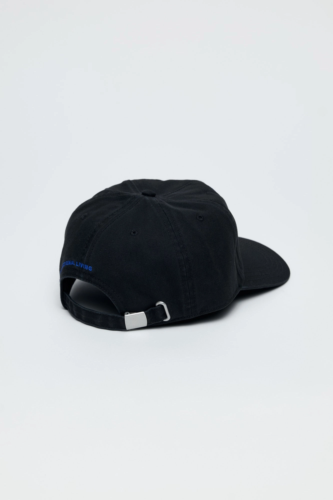 Pegasus Dad Hat