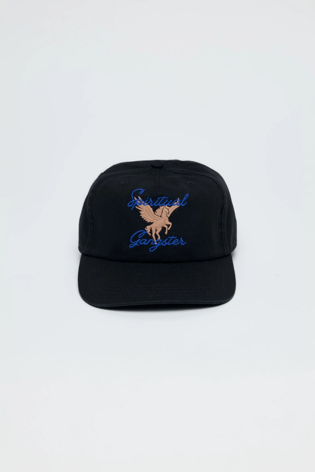 Pegasus Dad Hat