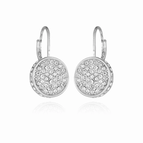 Silvertone Glass Stone Coin Leverback Earrings